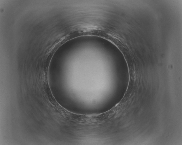 X0000073731061200608171223