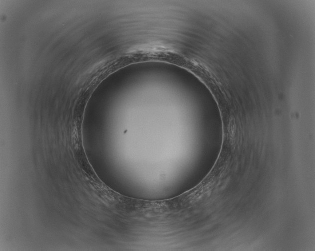 X0000073731062200608171223