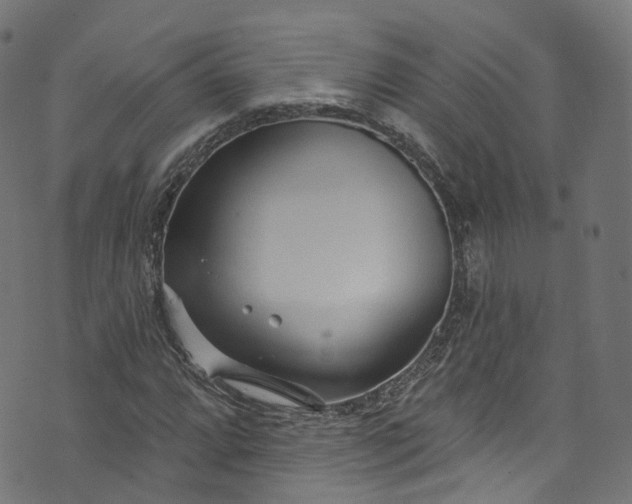 X0000073731064200608171223