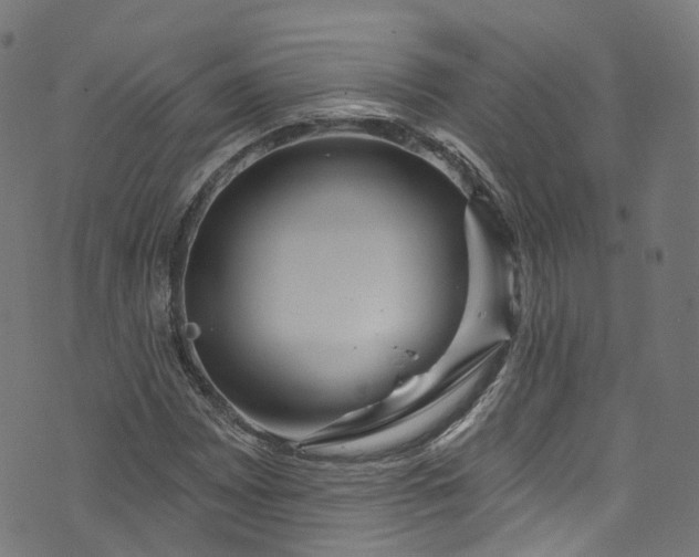 X0000073731065200608171223