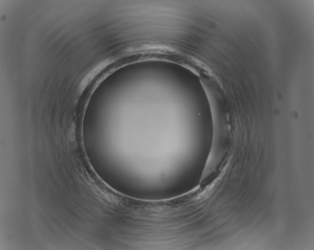 X0000073731066200608171223