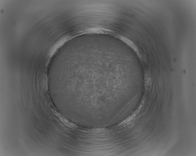 X0000073731067200608171223