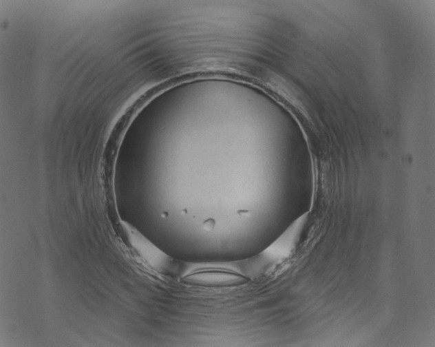 X0000073731068200608171223