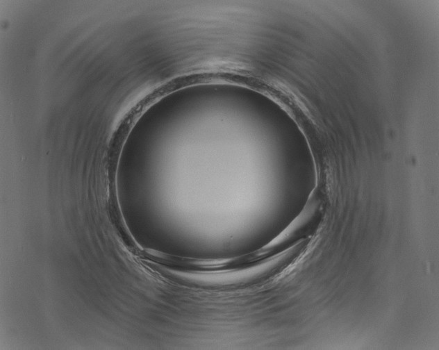 X0000073731069200608171223