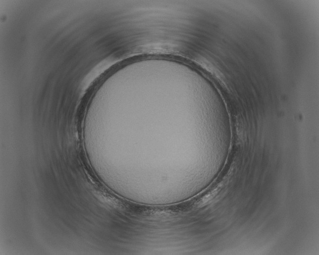 X0000073731070200608171223