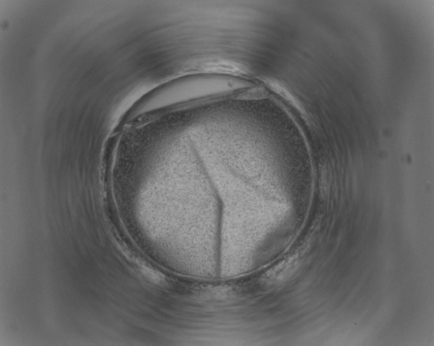 X0000073731071200608171223