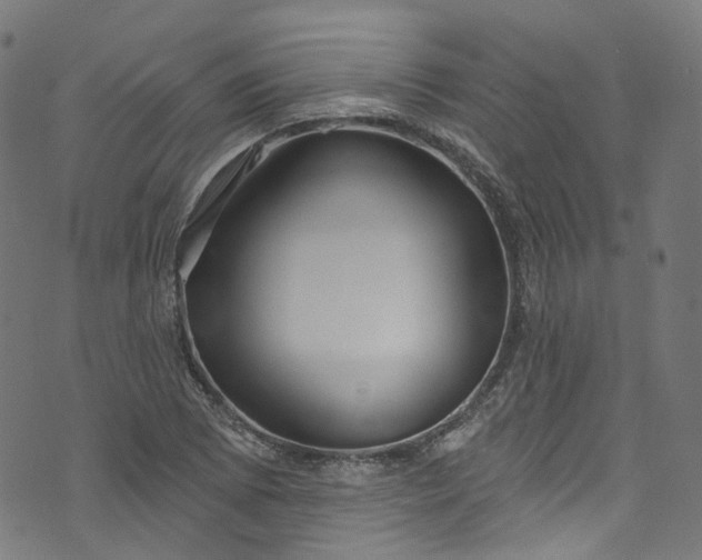 X0000073731073200608171223