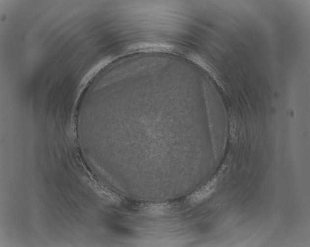 X0000073731074200608171223