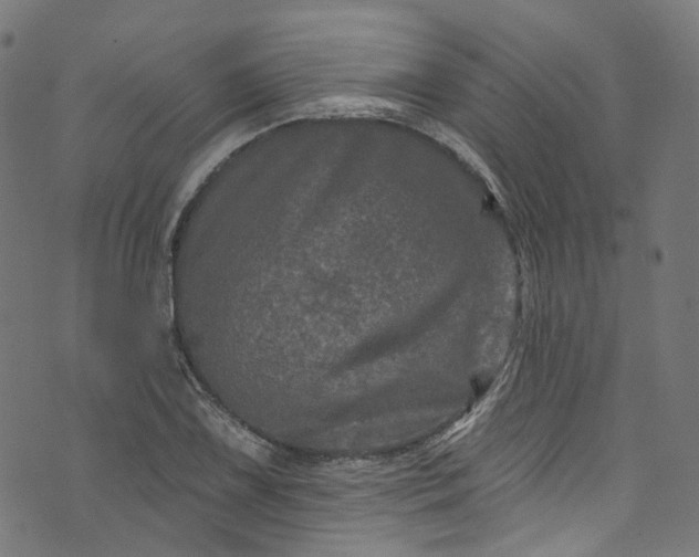 X0000073731075200608171223