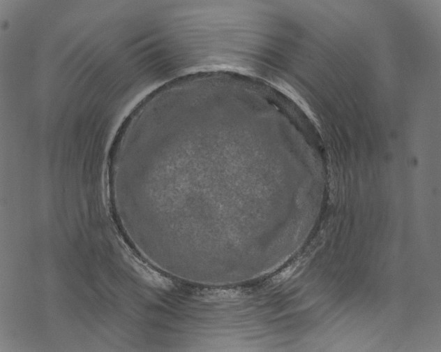 X0000073731076200608171223