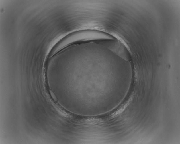 X0000073731077200608171223