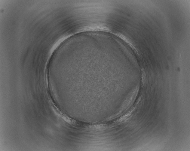 X0000073731078200608171223