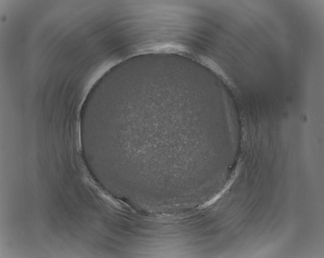 X0000073731079200608171223