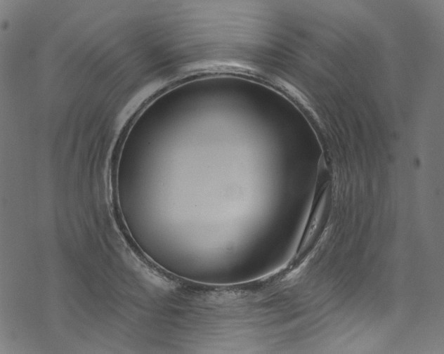 X0000073731082200608171223