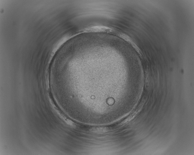 X0000073731083200608171223