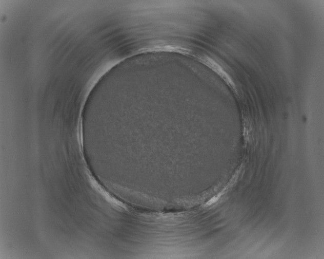 X0000073731084200608171223