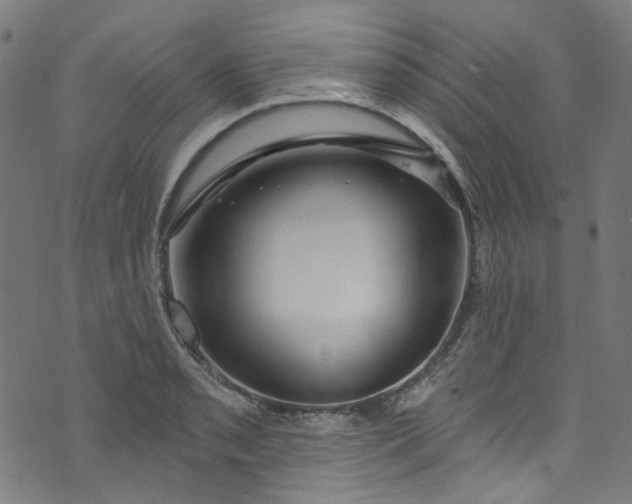 X0000073731085200608171223