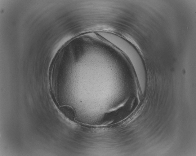 X0000073731087200608171223