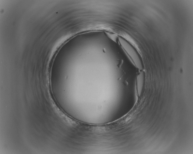 X0000073731088200608171223