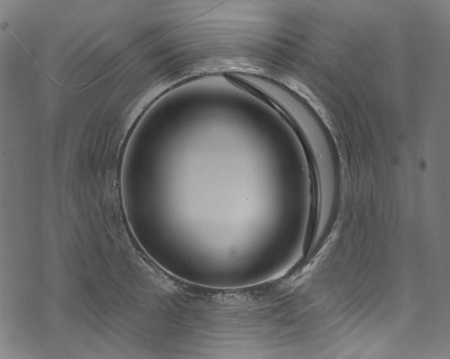 X0000073731089200608171223