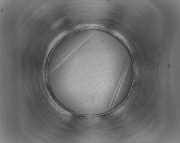 X0000073731090200608171223