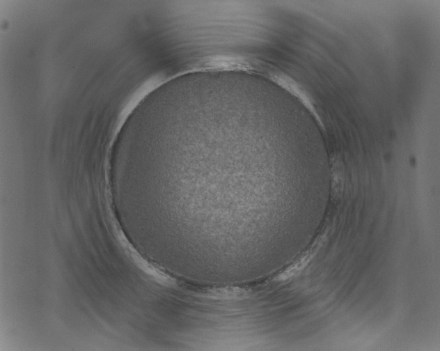 X0000073731091200608171222