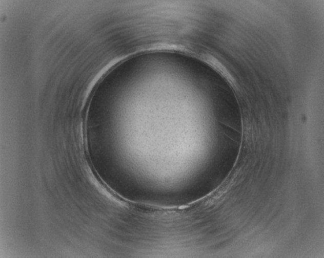 X0000073731092200608171222