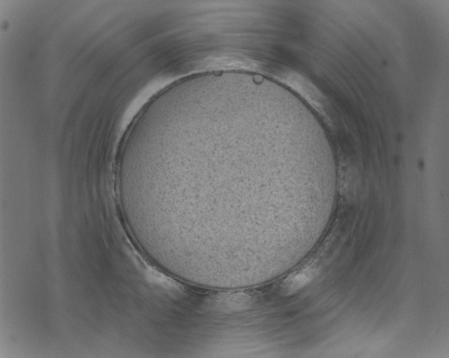 X0000073731094200608171222