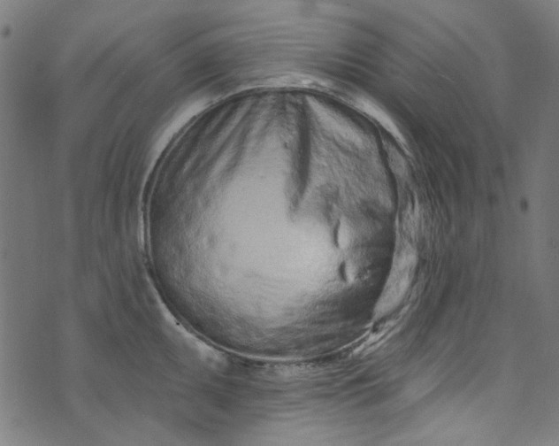 X0000073731095200608171222