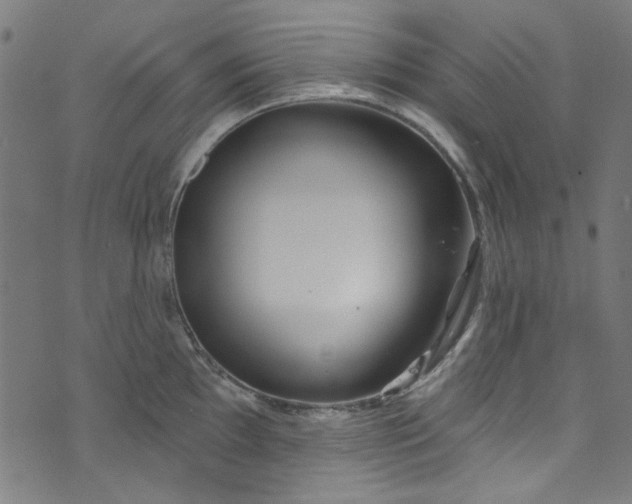 X0000073731097200608171222