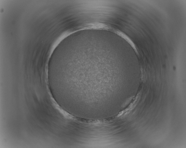 X0000073731099200608171222