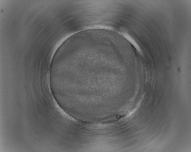 X0000073731100200608171222