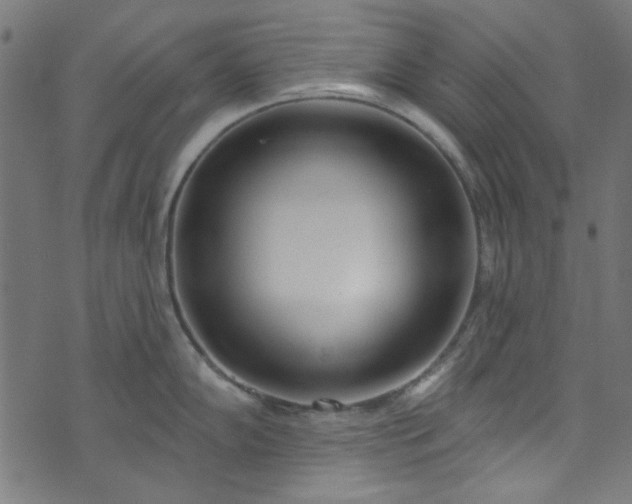 X0000073731102200608171222