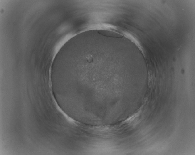 X0000073731103200608171222