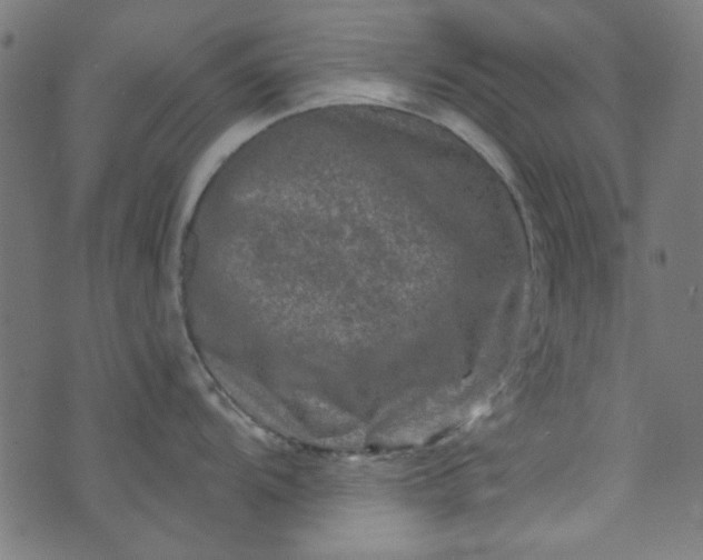 X0000073731104200608171222