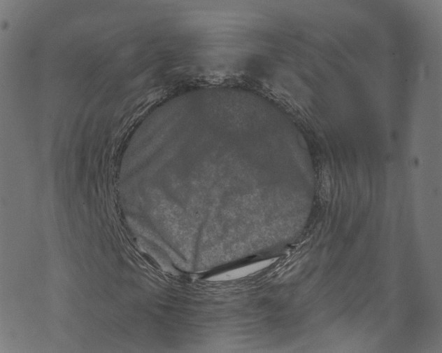 X0000073731105200608171221