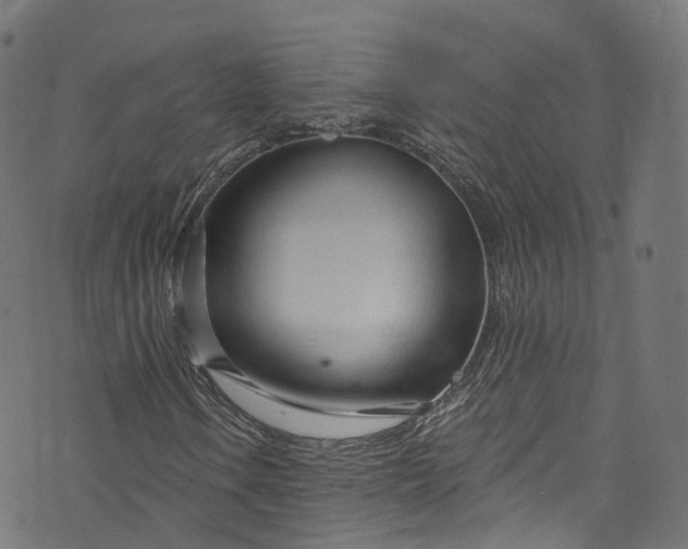 X0000073731106200608171221