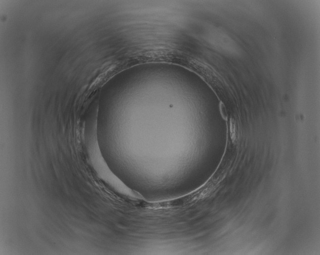 X0000073731107200608171222