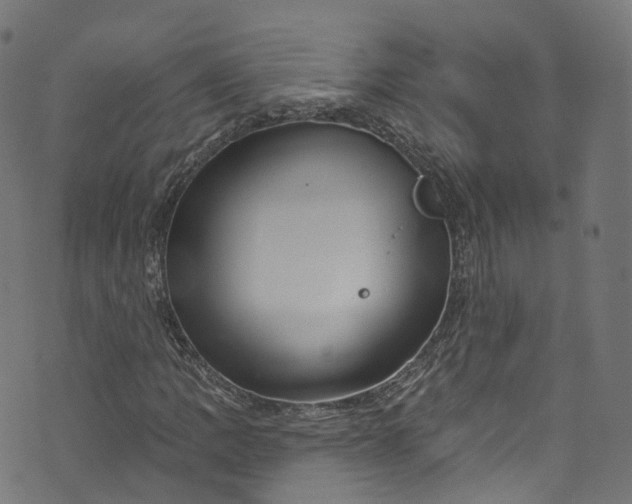 X0000073731109200608171222