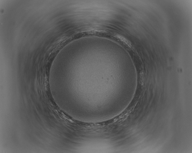 X0000073731111200608171222