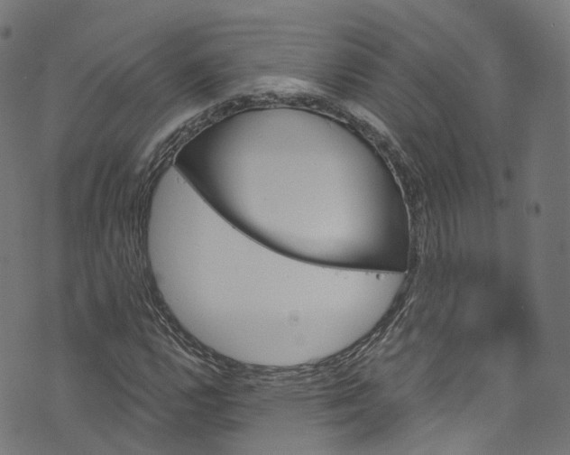 X0000073731112200608171222