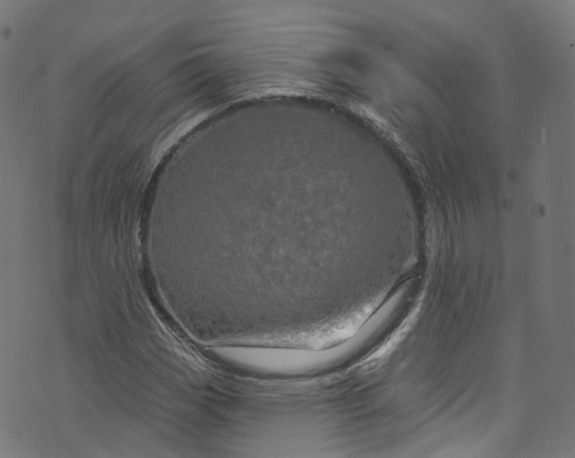 X0000073731113200608171222