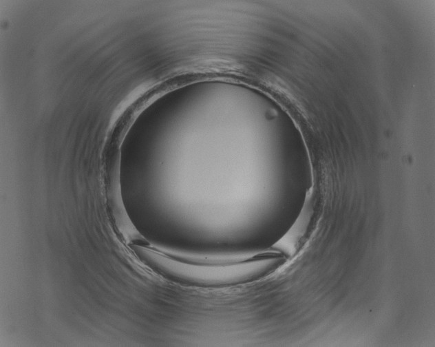 X0000073731114200608171222