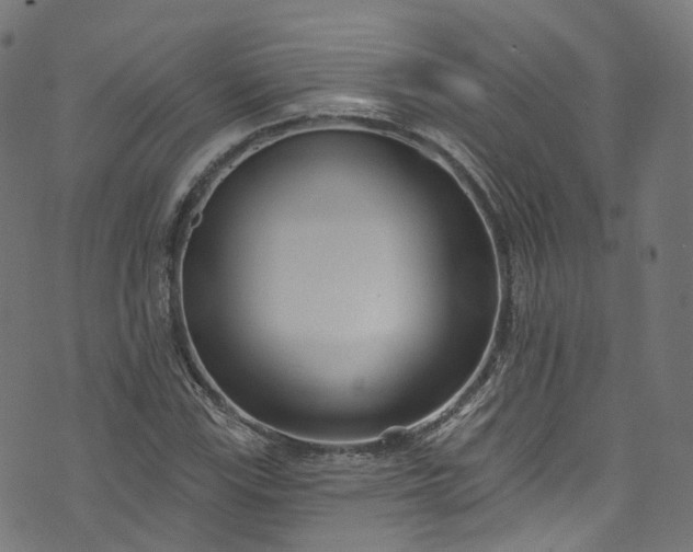 X0000073731115200608171222