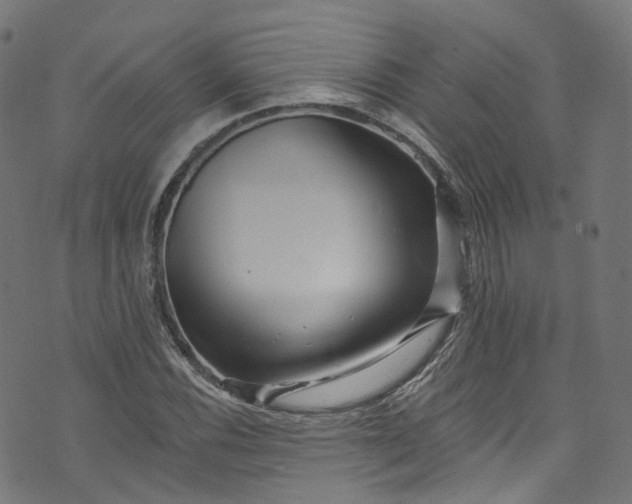 X0000073731116200608171222