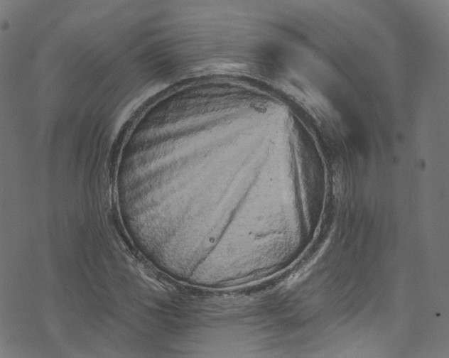 X0000073731117200608171222