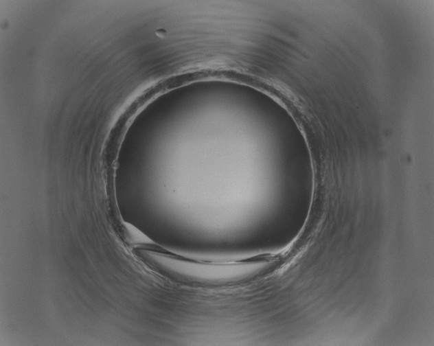 X0000073731118200608171222