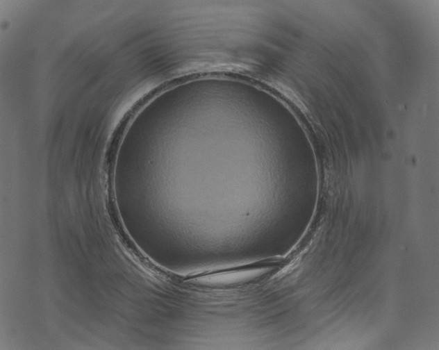 X0000073731119200608171222