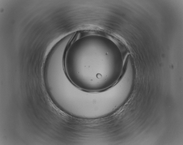 X0000073731120200608171222