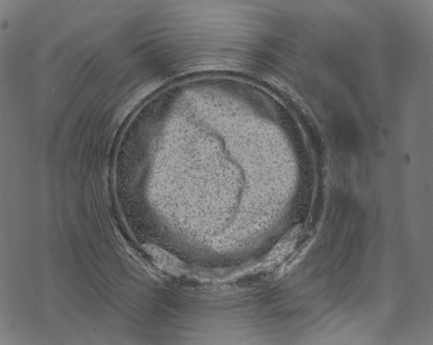 X0000073731121200608171222